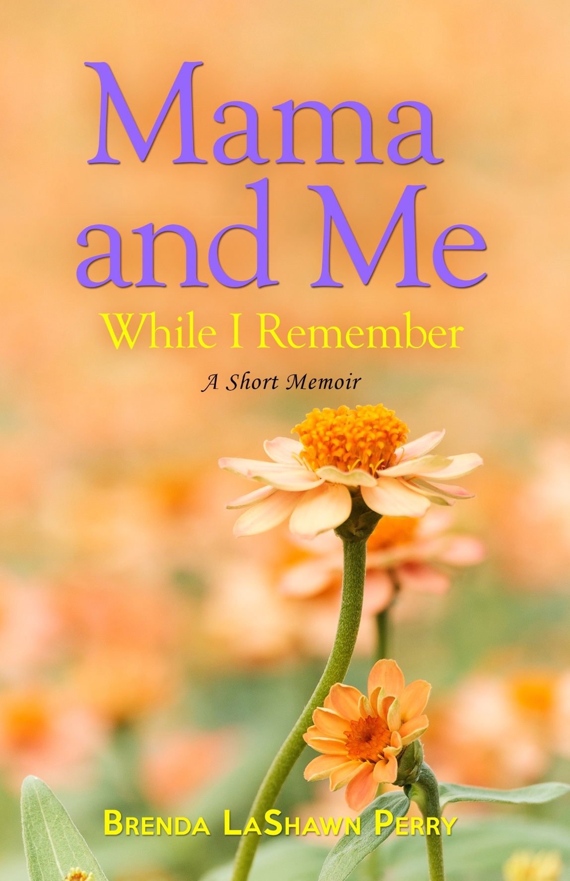 Cover of Mama and Me by Brenda LaShawn Perry