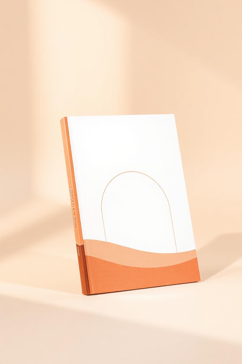 Cover of Placeholder Title (development) by Author to be confirmed